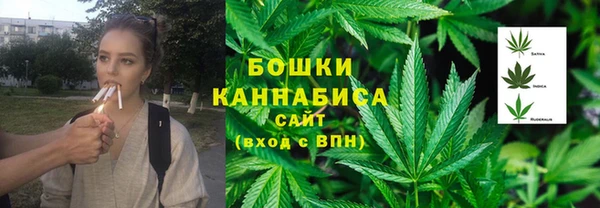 ПСИЛОЦИБИНОВЫЕ ГРИБЫ Арсеньев