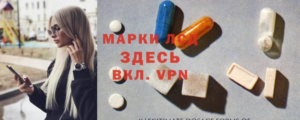 ПСИЛОЦИБИНОВЫЕ ГРИБЫ Арсеньев